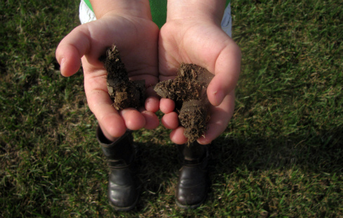 Renovate Your Lawn by Aerating and Dethatching - Nutrients for Life