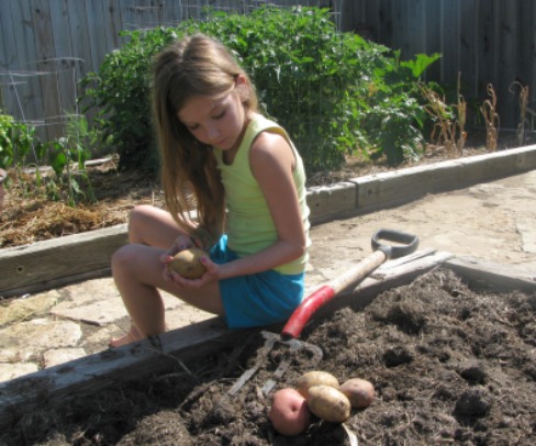 Garden potato deals fork